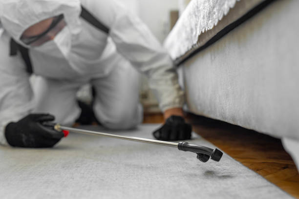 Professional Termite Control technician working in St. Charles, MO