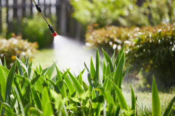 24/7 Emergency Termite Control experts in St. Charles, MO