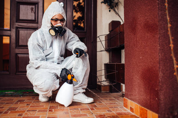Reliable Termite Control contractor in St. Charles, MO by Nex Pest Control