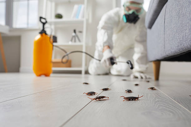 Trusted Mosquito Control service in St. Charles, MO - Nex Pest Control