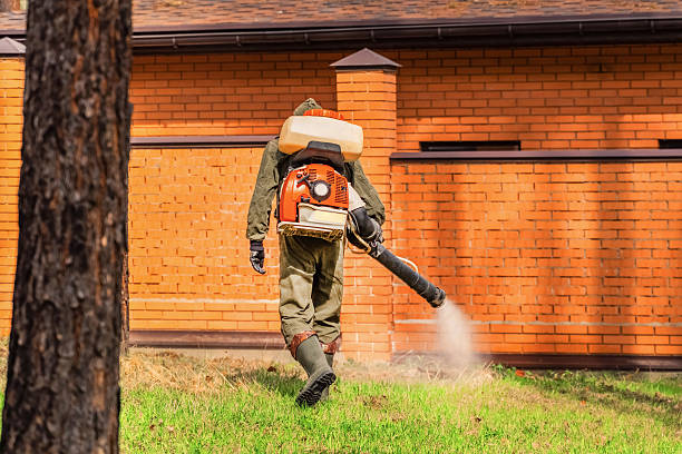 Trusted Termite Control service in St. Charles, MO - Nex Pest Control